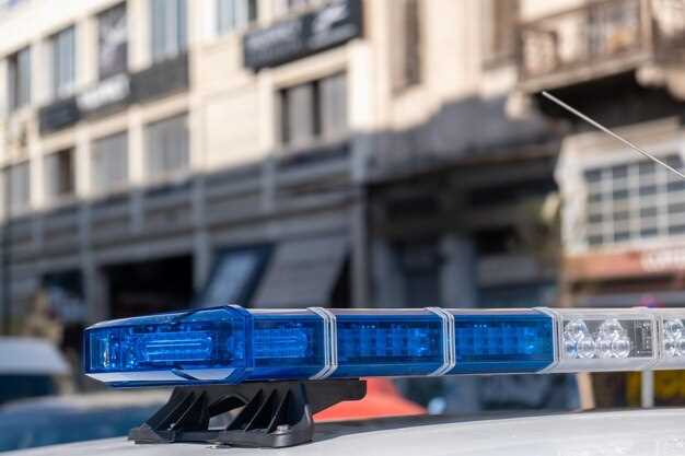 Будущее электромобилей в России: прогнозы и ожидания