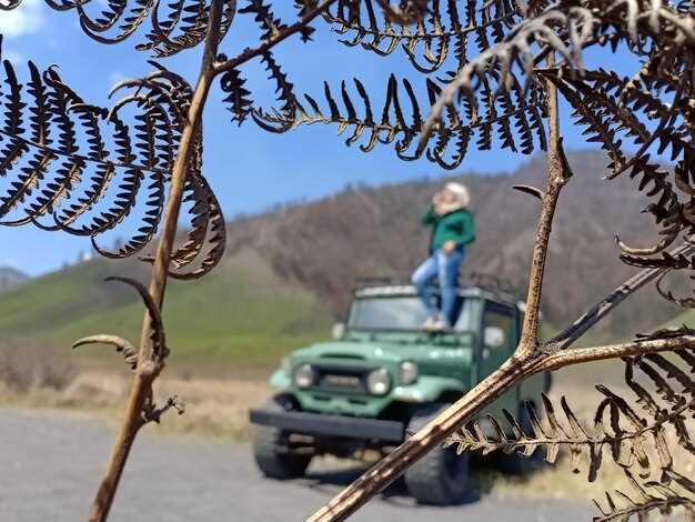 Популярность Suzuki Jimny в разных странах