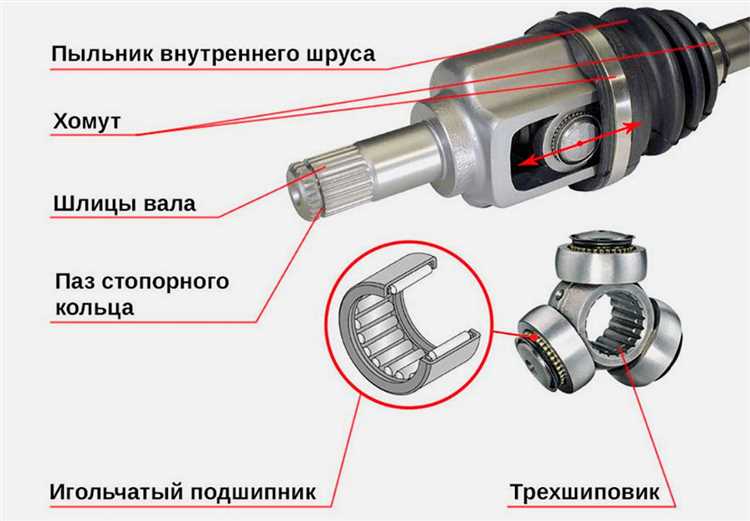 Выбор