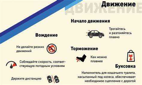 Научиться