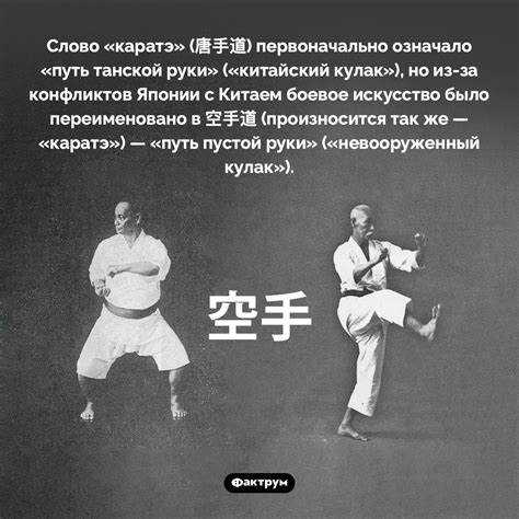 Автомобили