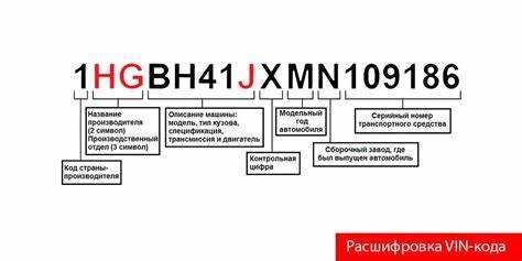 Основные