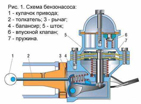 Частые