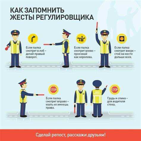 Обучение