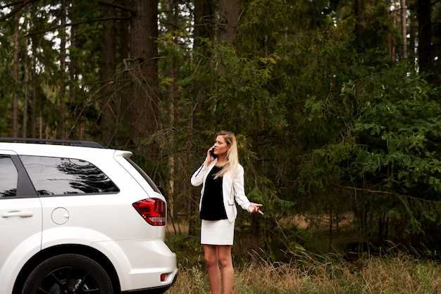 Ценовой сегмент: сколько будет стоить Skoda Elroq