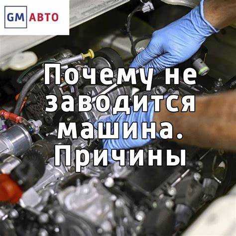 Сервисы