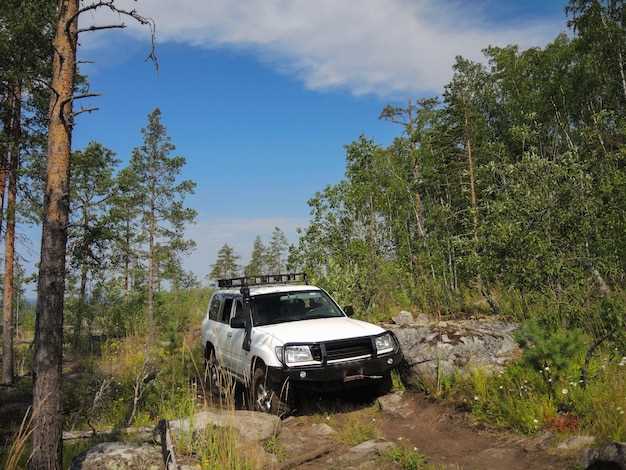 Будущее Haval в России: планы и стратегии компании