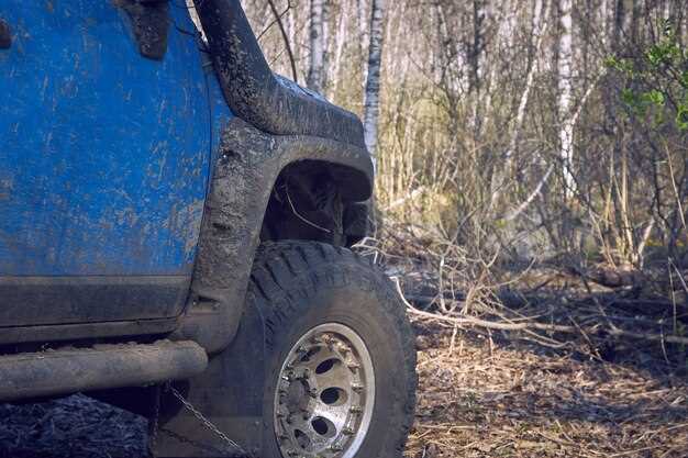 Особенности и уникальные характеристики редкого Unimog