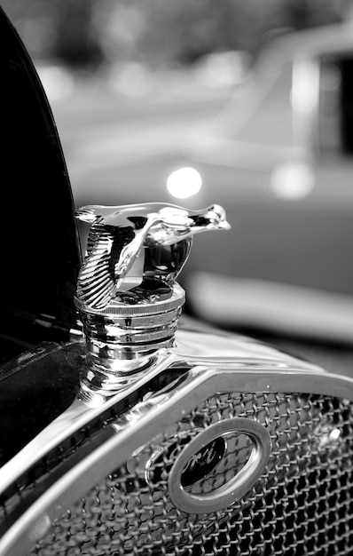 Мифы и факты о Shelby Cobra: развенчание стереотипов