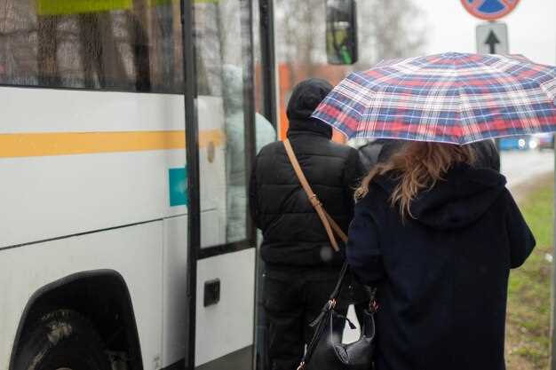 Опыт других городов: каршеринг в мире