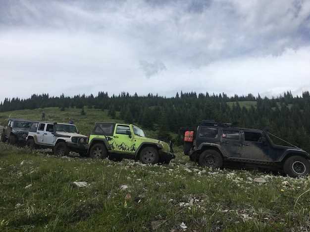 Преимущества внедорожников Lada Niva