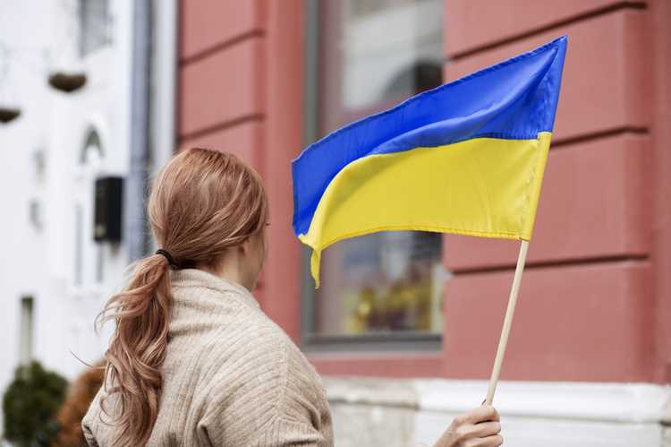 Анализ аналогичных инициатив в других странах