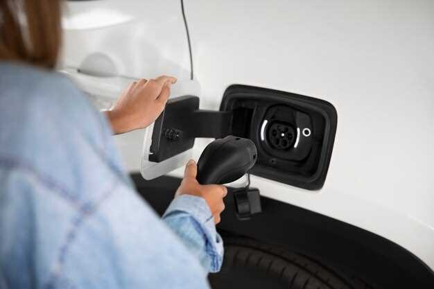 Будущее зарядной инфраструктуры в России